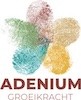 Talent Performance voor Adenium
