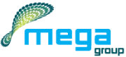 Page Executive for MegaGroup
