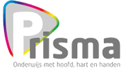 Delfin impact executives voor Stichting Prisma 
